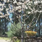 Ecobosque بيت للعطل