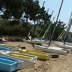 Ecobosque