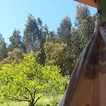 Ecobosque بيت للعطل