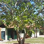 Ecobosque Tatil Evi Nadadouro