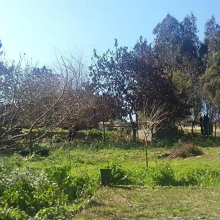 Ecobosque * Nadadouro