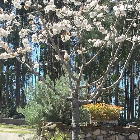 Ecobosque Дом отдыха