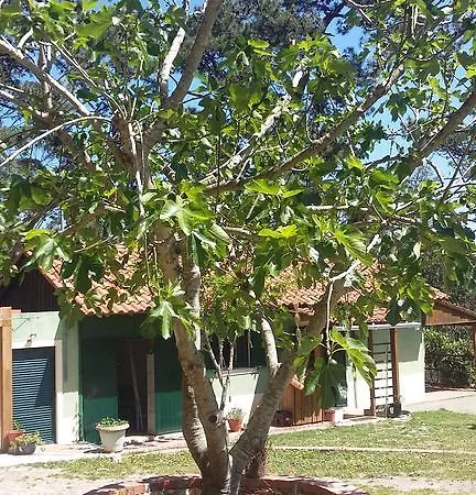 Ecobosque Ferienhaus Nadadouro