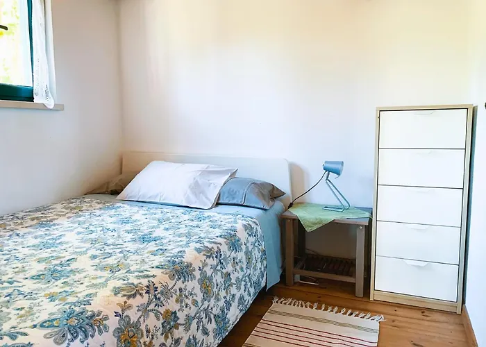 Tatil Evi Ecobosque Nadadouro