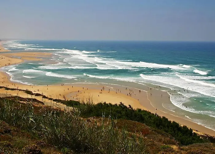 Hébergement de vacances Ecobosque