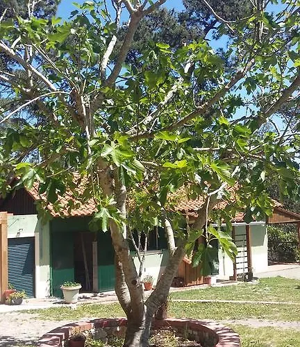 Ecobosque Hébergement de vacances Nadadouro